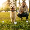 Electric Dog Fence System Pet Tone Shock Boundary Containment Water Resistant Collar Receiver For Small Medium Large Dog